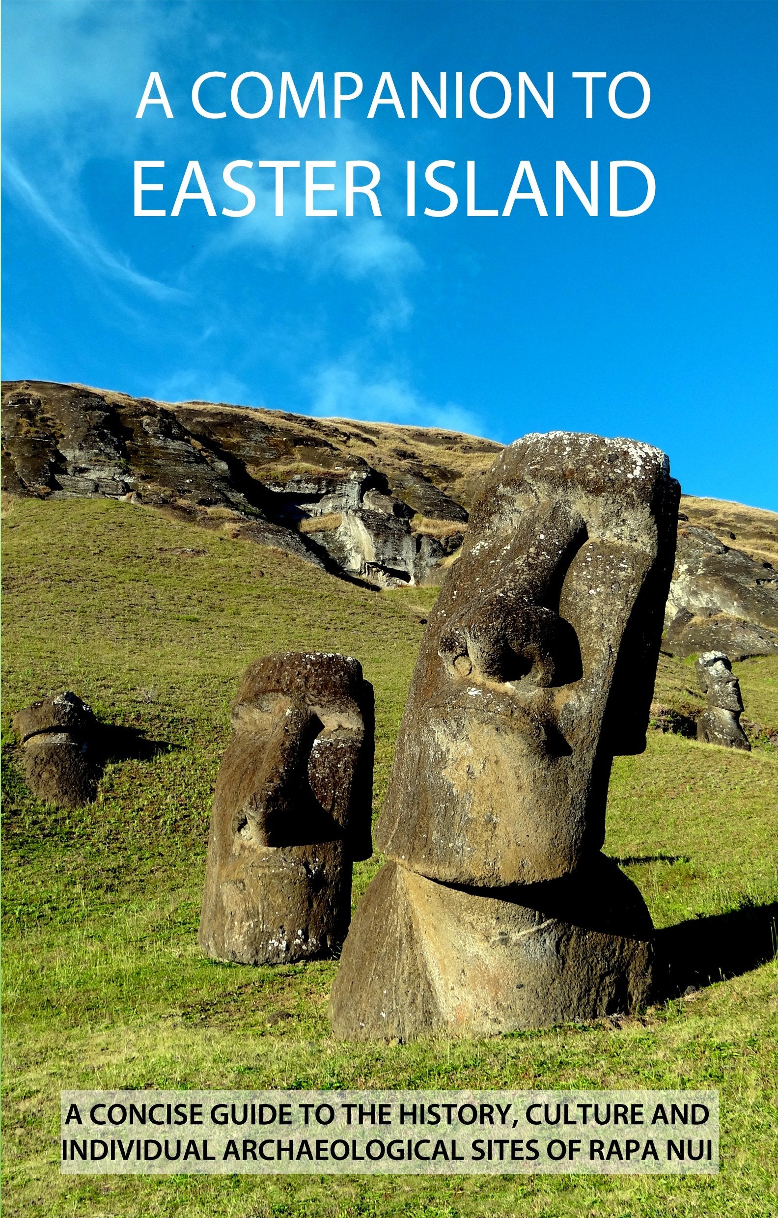 A Companion To Easter Island (Guide To Rapa Nui) Books