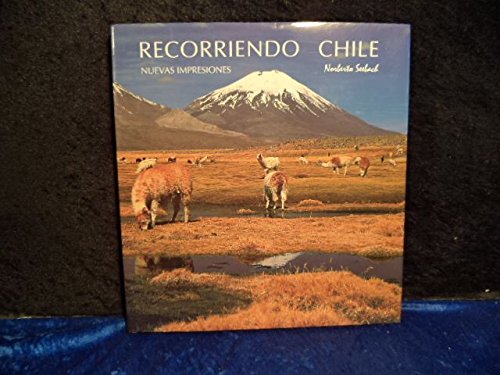 Recorriendo Chile De Norte A Sur Books