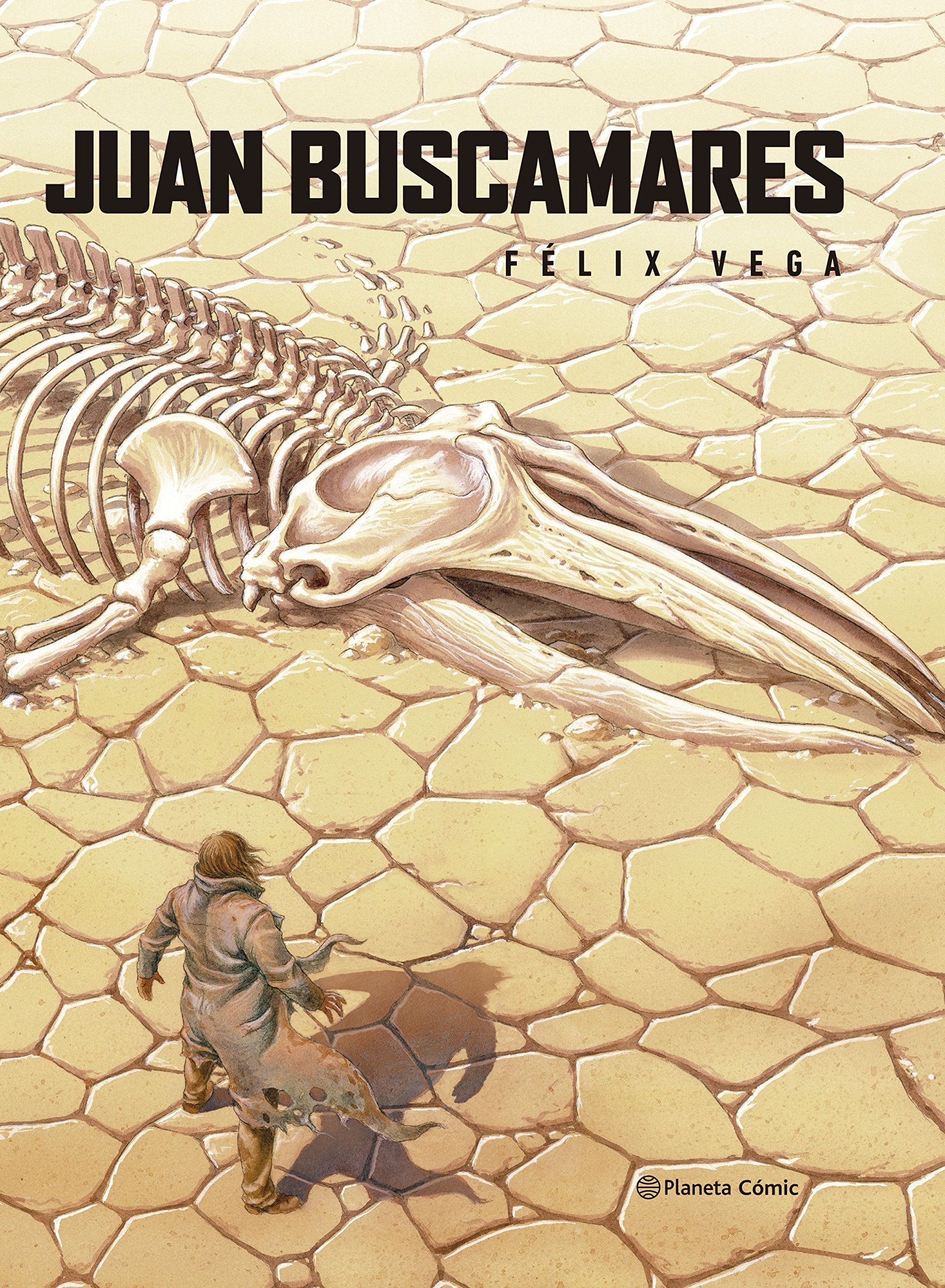 Juan Buscamares book
