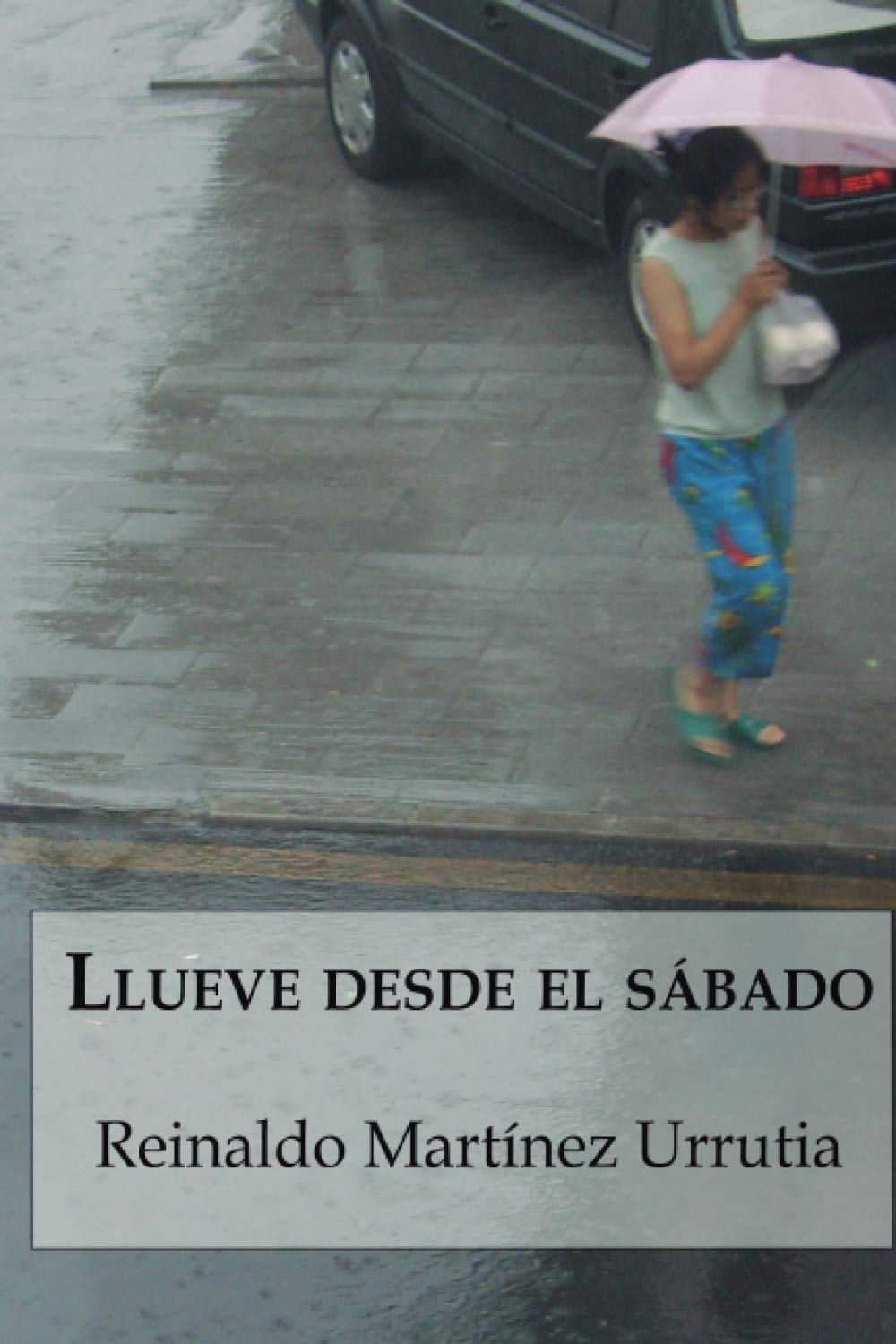 Llueve desde el sábado (Novelistos al Sur del Mundo, Band 8) Contemporary literature