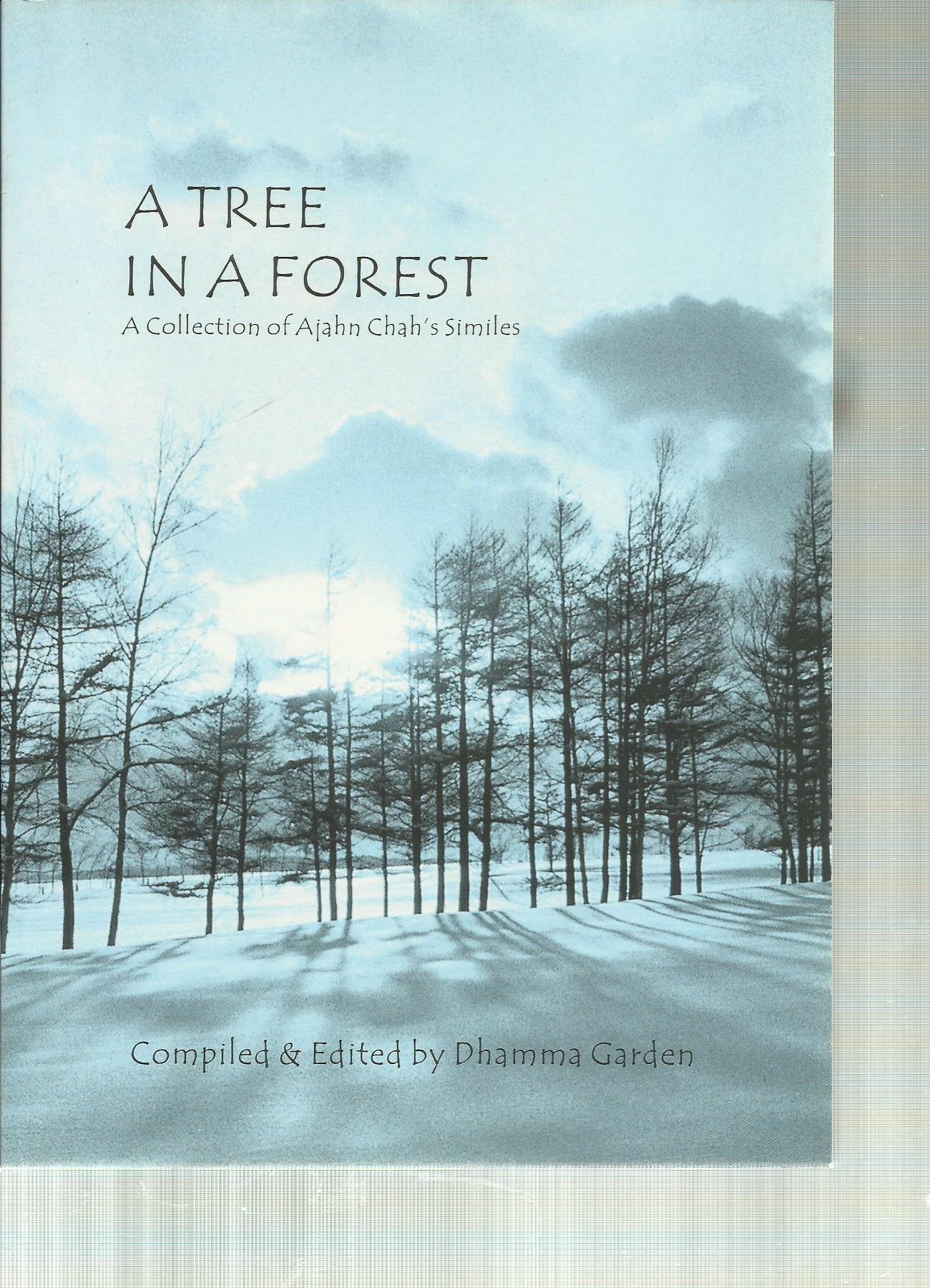 Tree in a Forest: A Collection of Ajahn Chah's Similes Books
