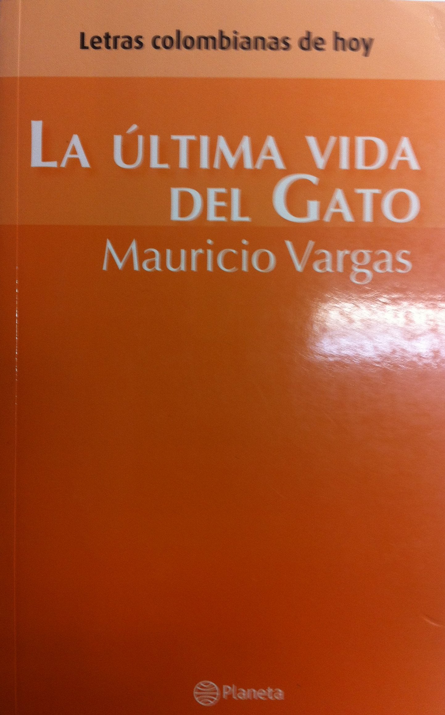 La ultima vida del gato/ The Cat's Last Life book