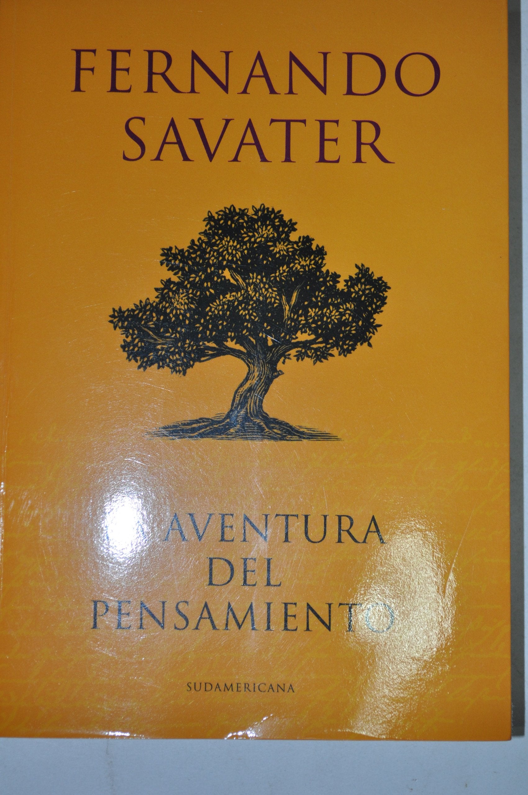 AVENTURA DEL PENSAMIENTO, LA book