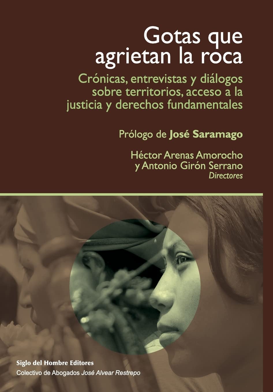 Gotas que agrietan la roca: Crónicas, entrevistas y diálogos sobre territorios y acceso a la justicia Social Sciences