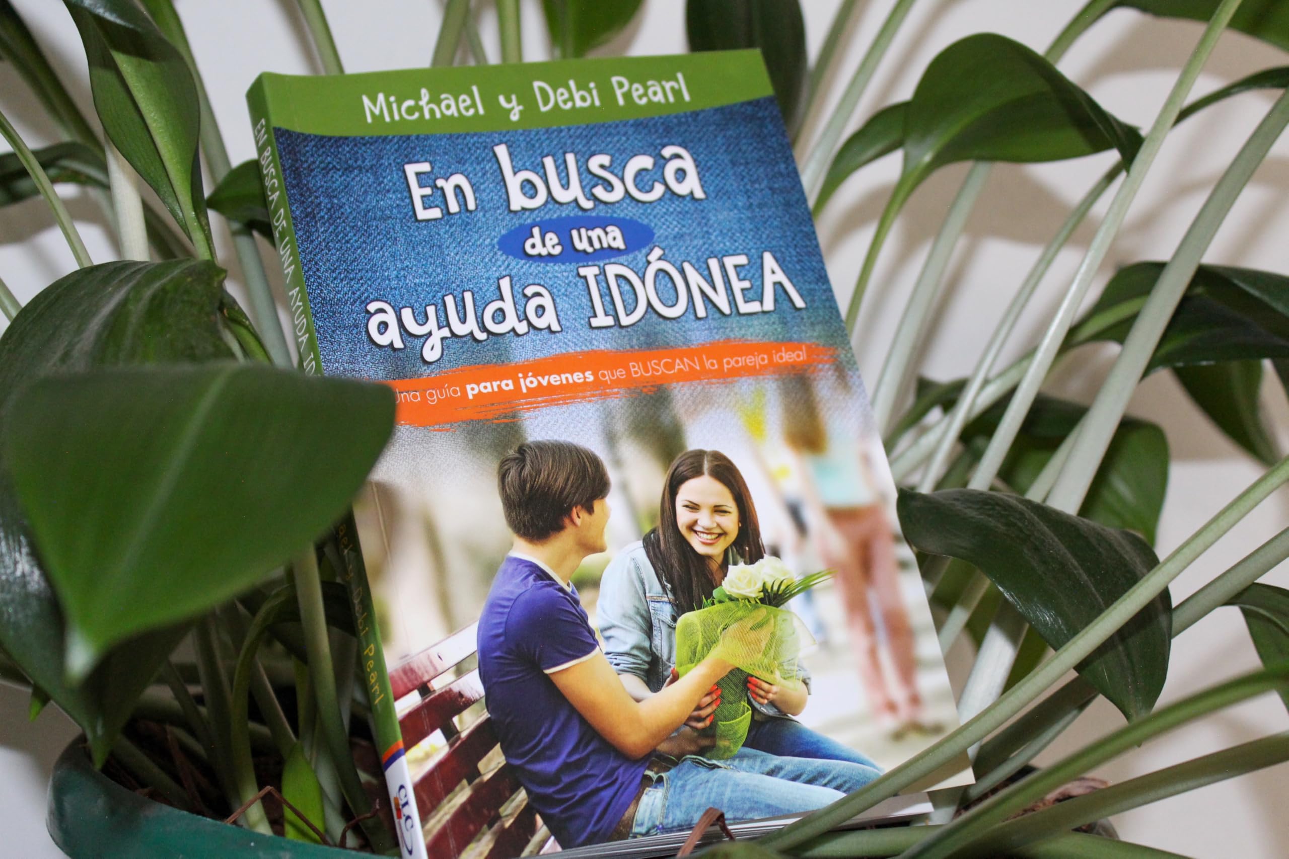 En busca de una ayuda idónea/ In Search of a Help Meet Religion & Esotericism