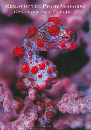 Realm of the Pygmy Seahorse: An Underwater Photography Adventure Mathematics