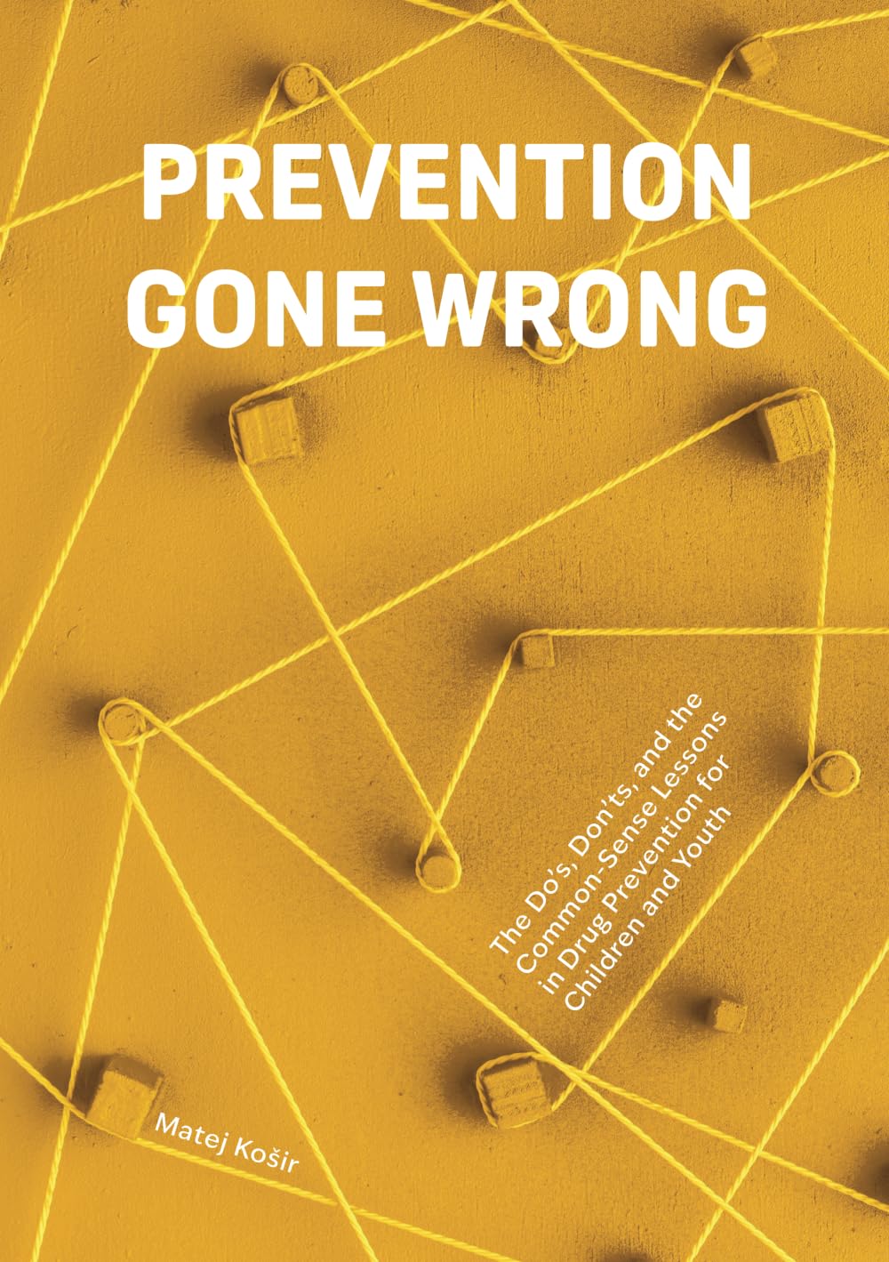 Prevention Gone Wrong: The Do’s, Don’ts, and the Common-Sense Lessons in Drug Prevention for Children and Youth Business, Finance & Career