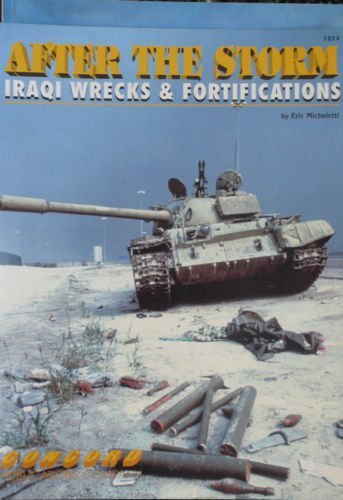 After the Storm: Iraqi Wrecks and Fortifications book
