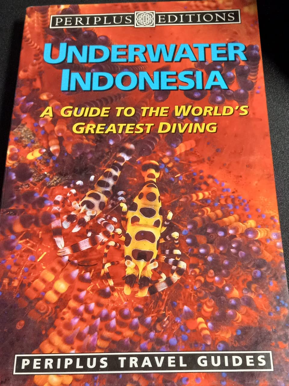 Underwater Indonesia: A Guide to the World's Greatest Diving (Periplus Travel Guides) Mathematics