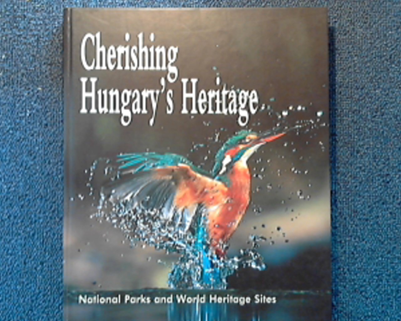 Product Image: Cherishing Hungary's Heritage