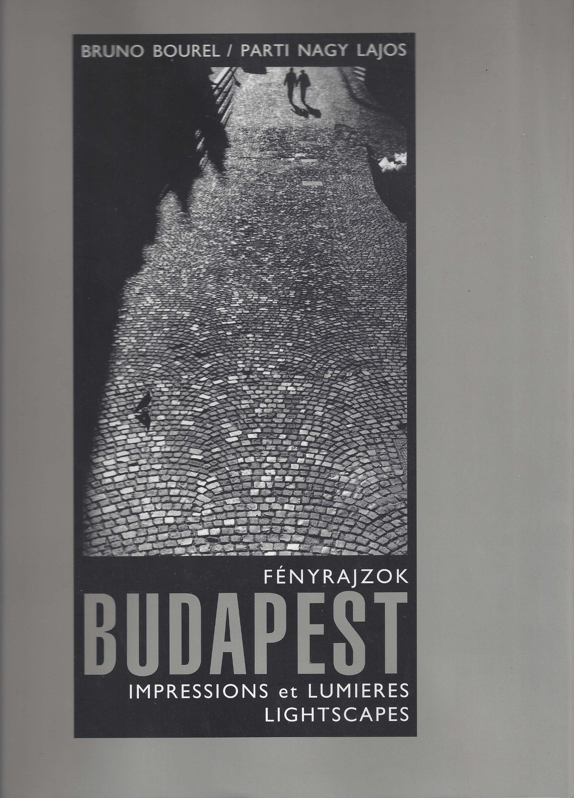Budapest Lightscapes (Fenyrajzok Budapest Impressions et Lumiers Lightscapes) Books