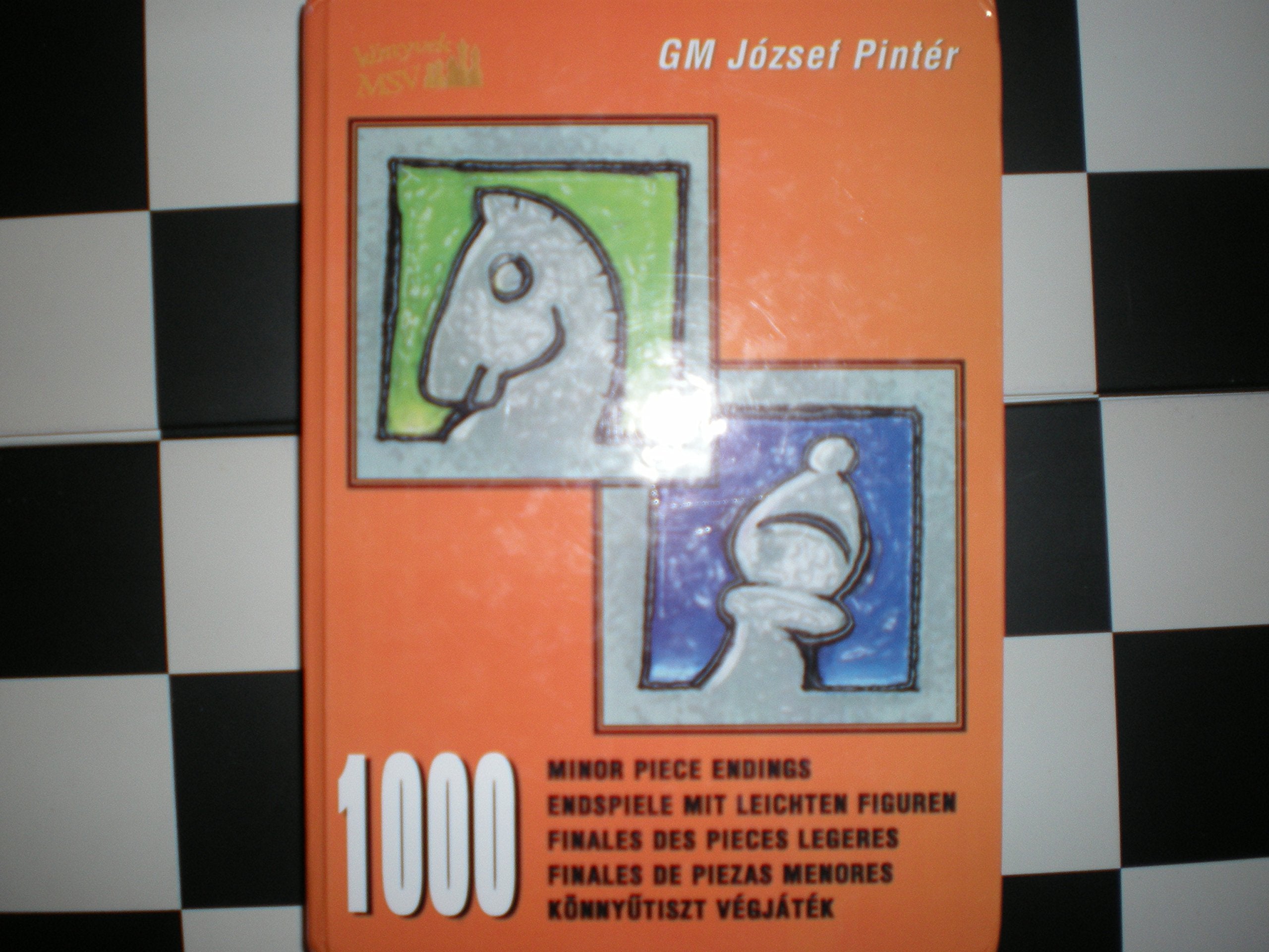 1000 Minor Piece Endings - 1000 Endspiele mit leichten Figuren Books