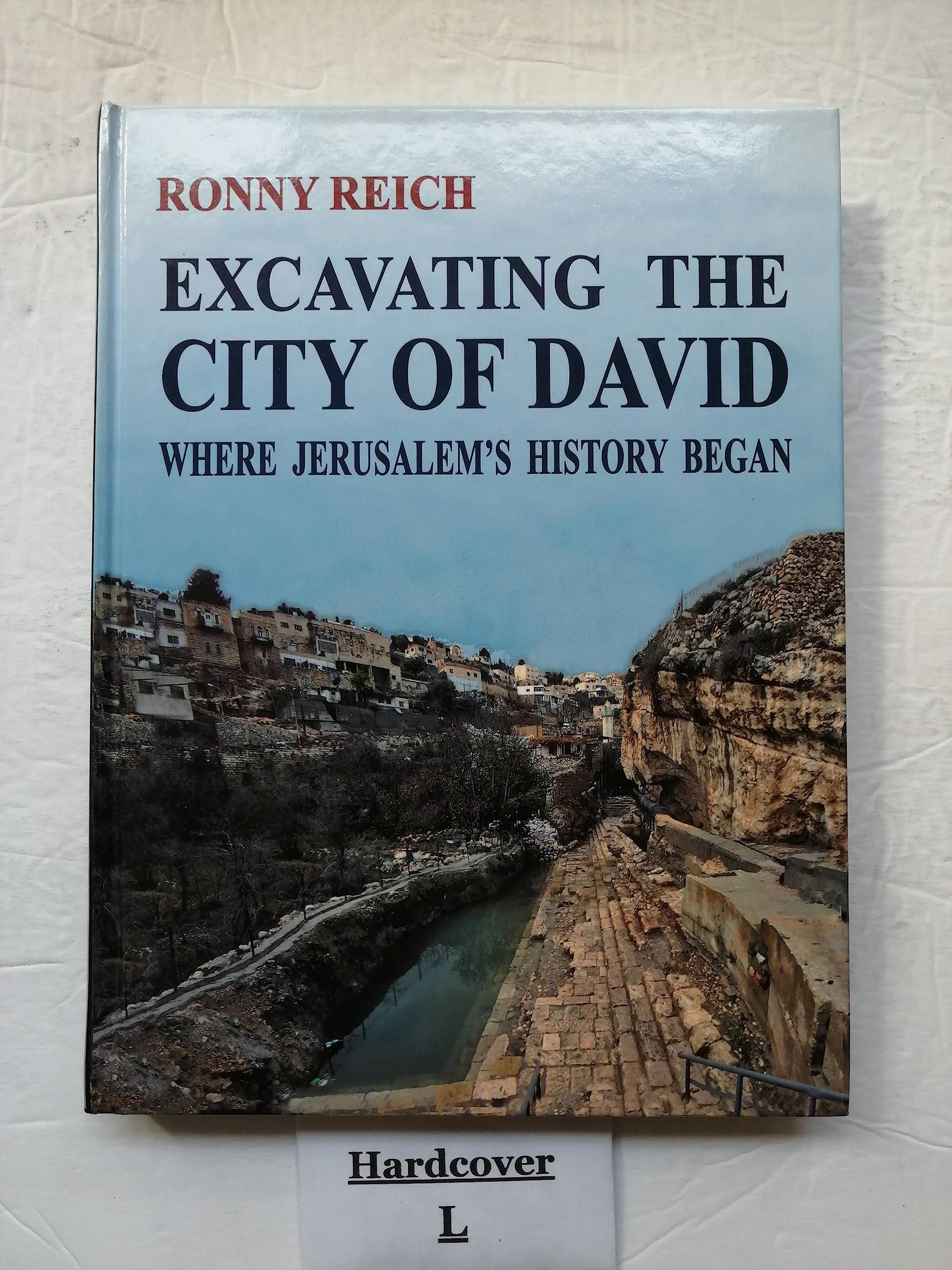 Excavatingthe City of David: Where Jerusalem's History Began Social Sciences