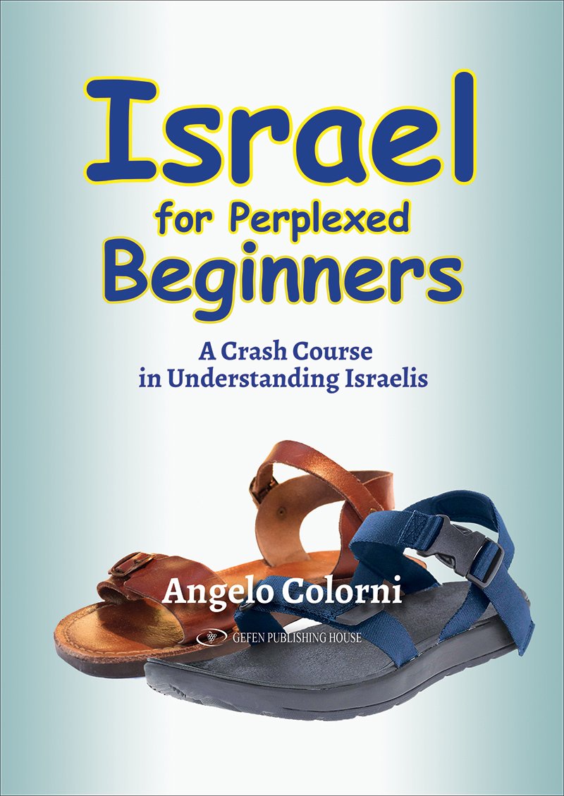 Israel for Perplexed Beginners: A Crash Course in Understanding Israelis Social Sciences