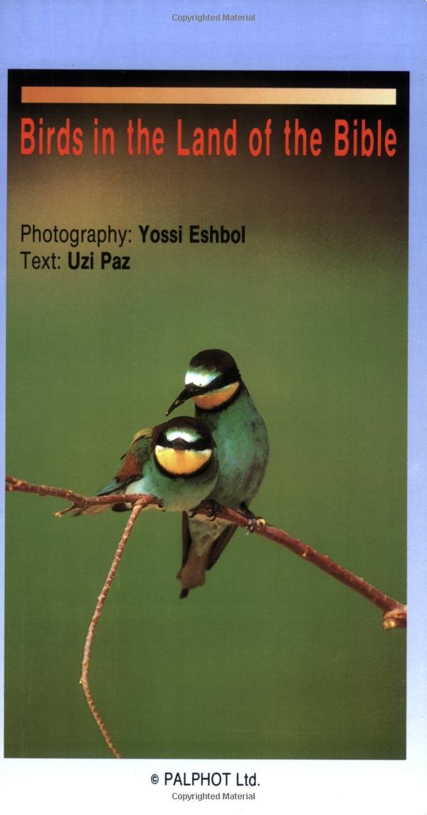 Birds in the Land of the Bible Mathematics