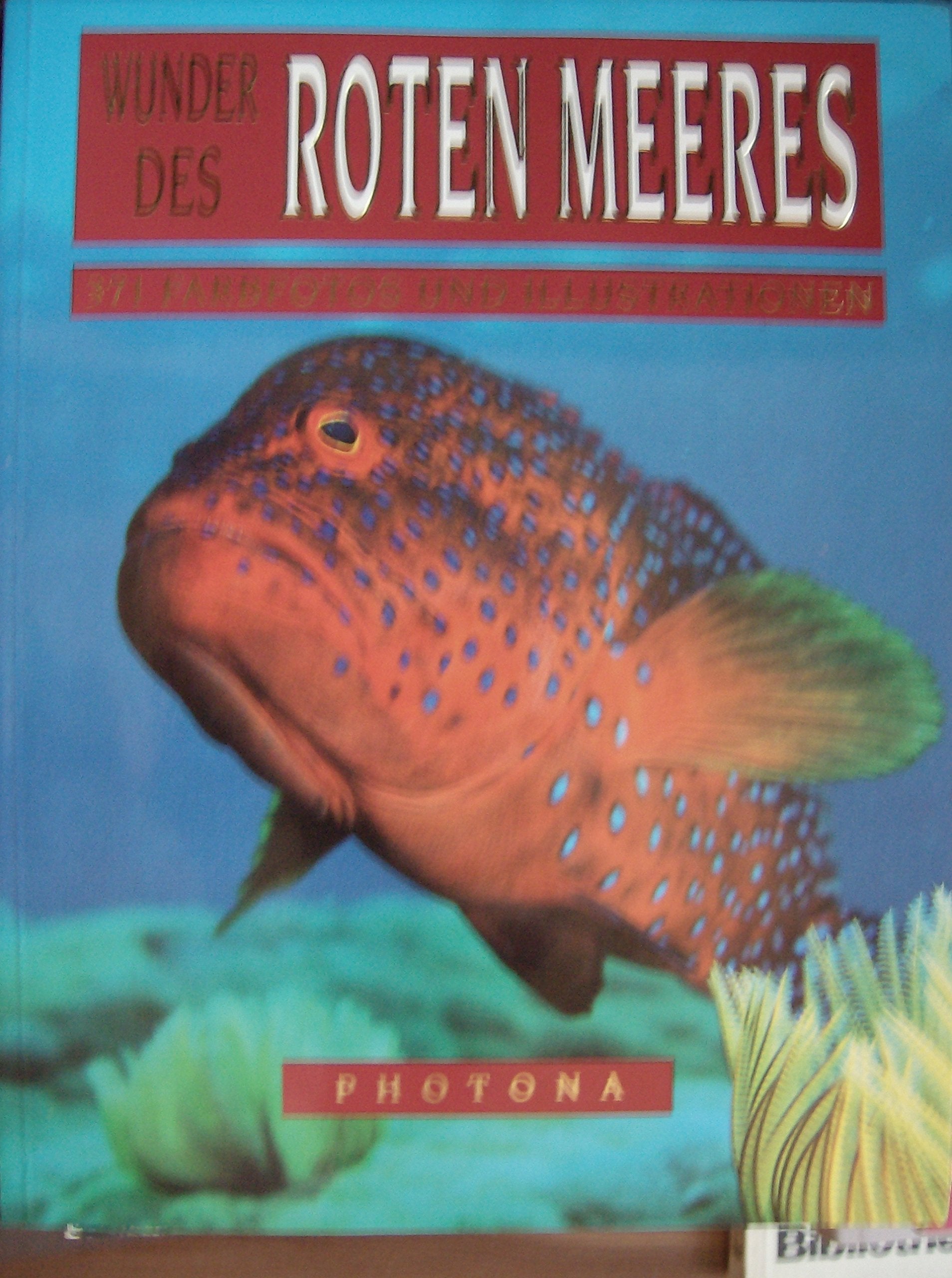 Wonders of the Red Sea Books