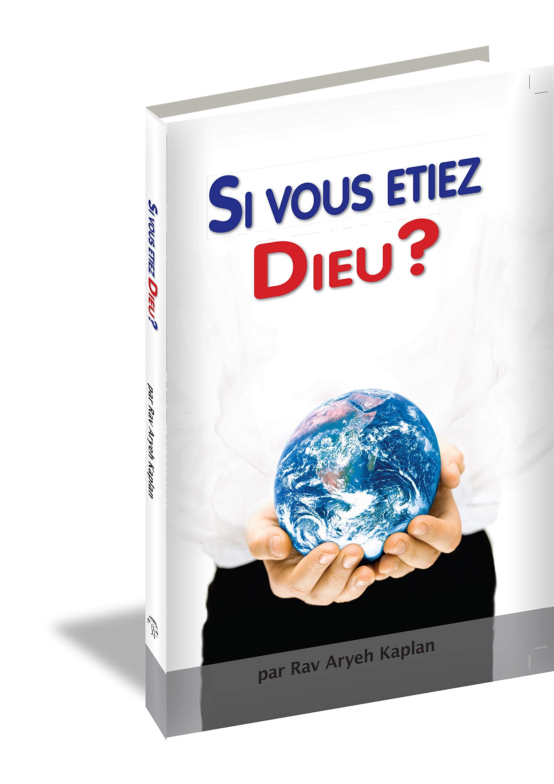 Si vous étiez D.ieu – Une exploration des mystères de la vie, de l’âme et du sens book