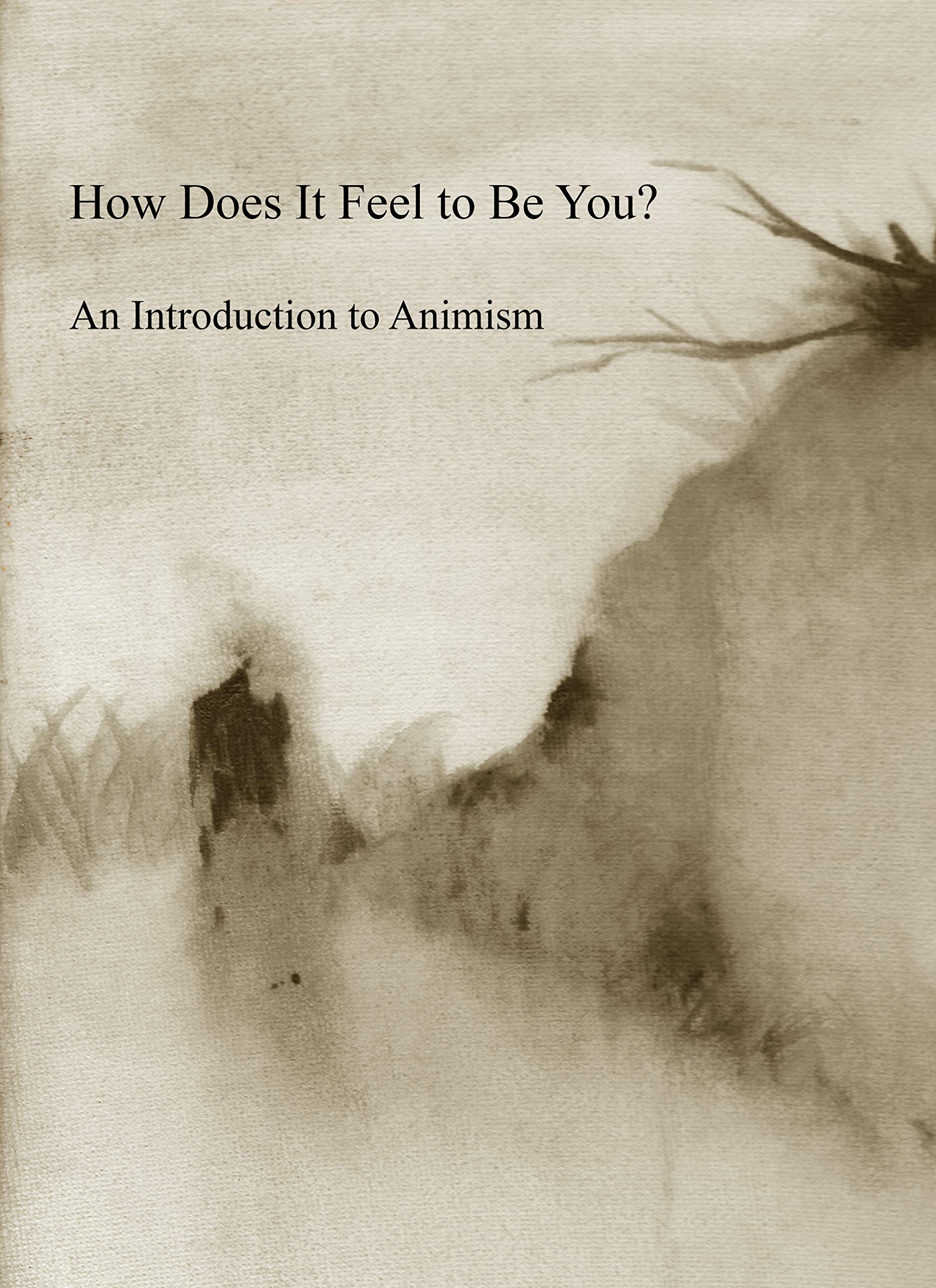 How Does It Feel to Be You? An Introduction to Ani Books