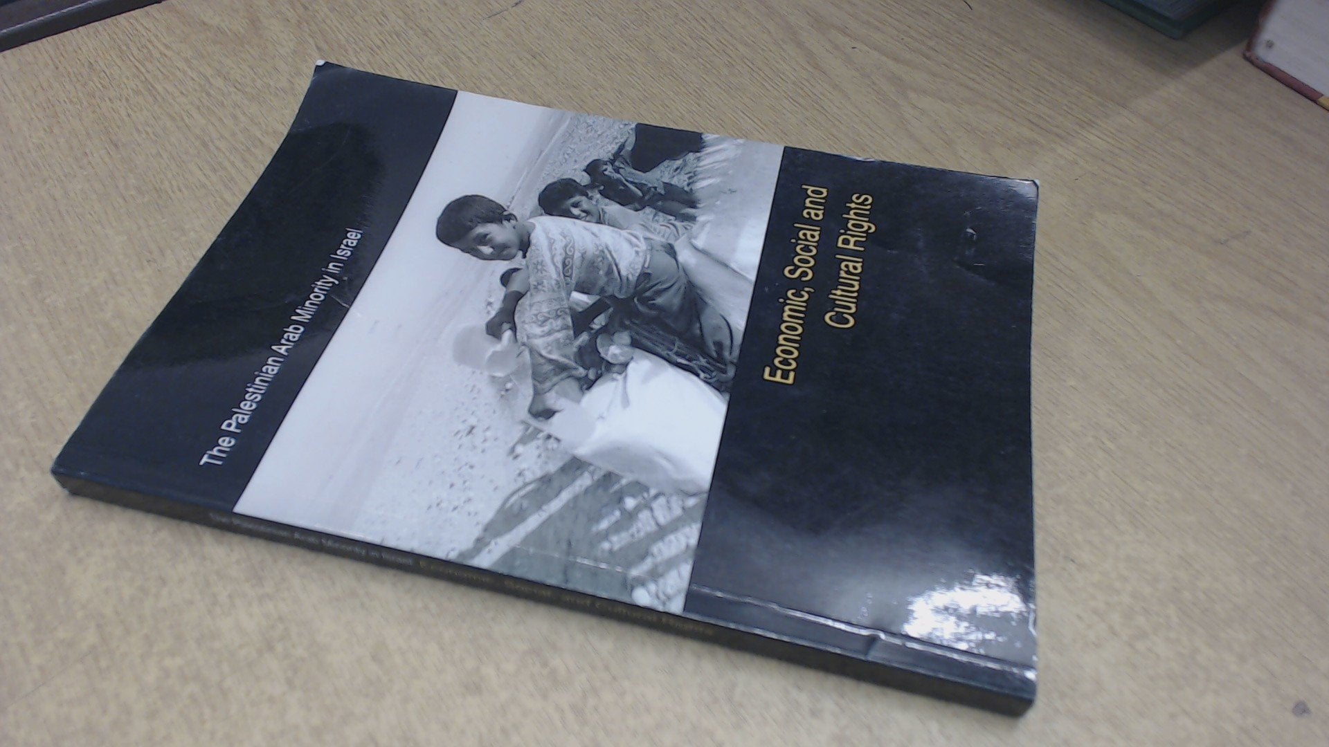 Palestinian Arab Minority in Israel: Economic, Social and Cultural Rights Books