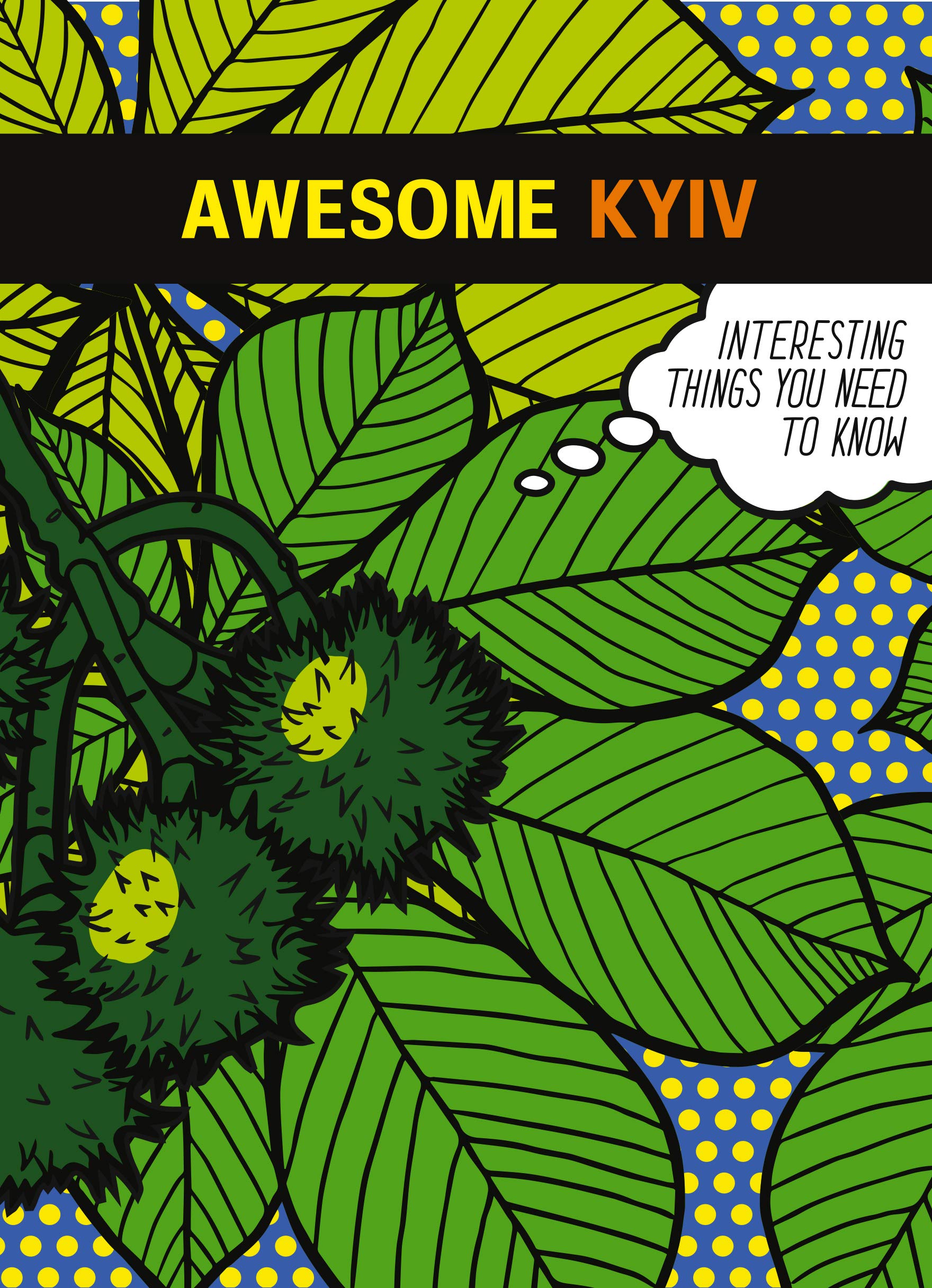 Awesome Kyiv: Interesting things you need to know General education