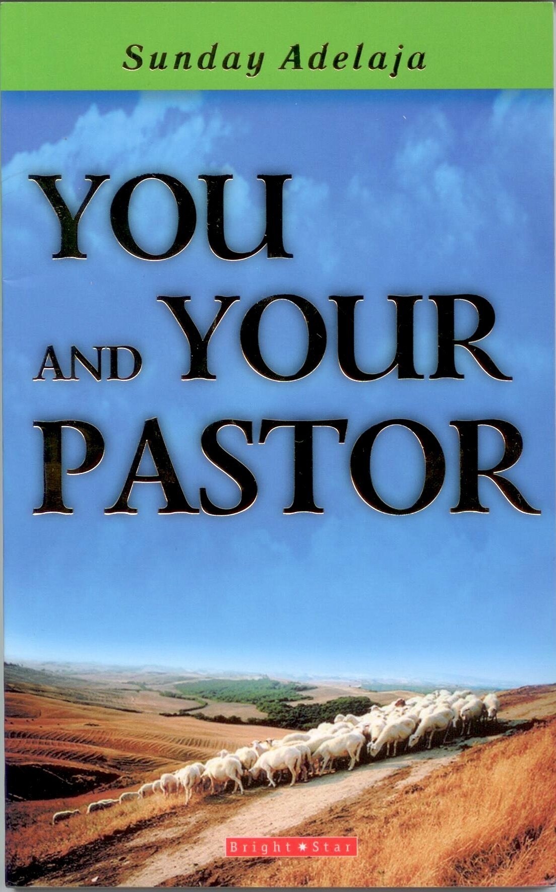 You and Your Pastor by Sunday Adelaja (2003-10-06) Books