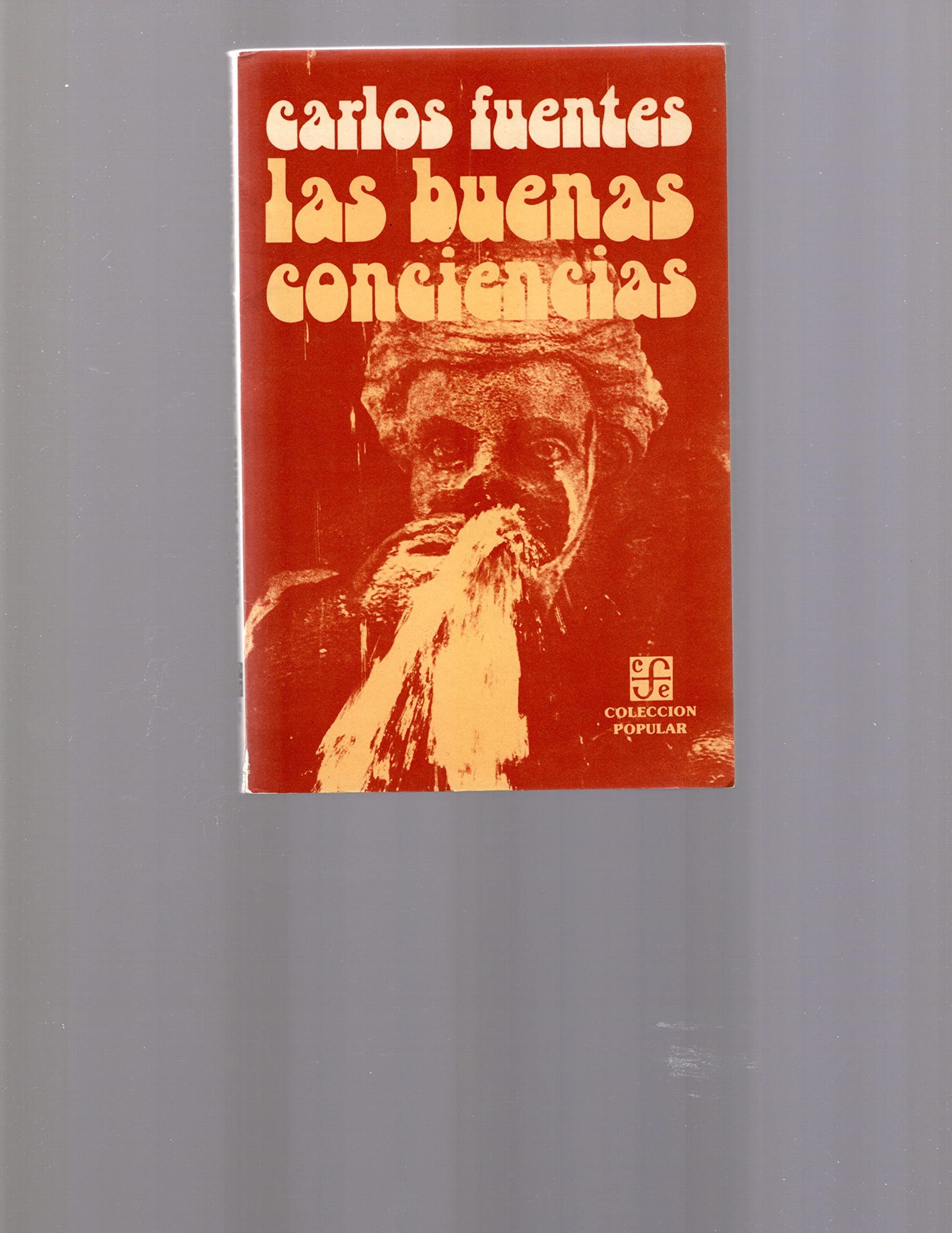 Las buenas conciencias / The Good Consciences (Popular, 10, Band 10) Contemporary literature