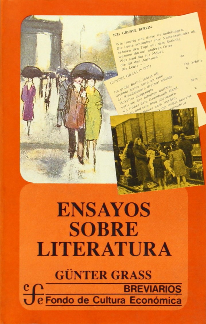 Ensayos sobre literatura/ Essays about Literature Contemporary literature