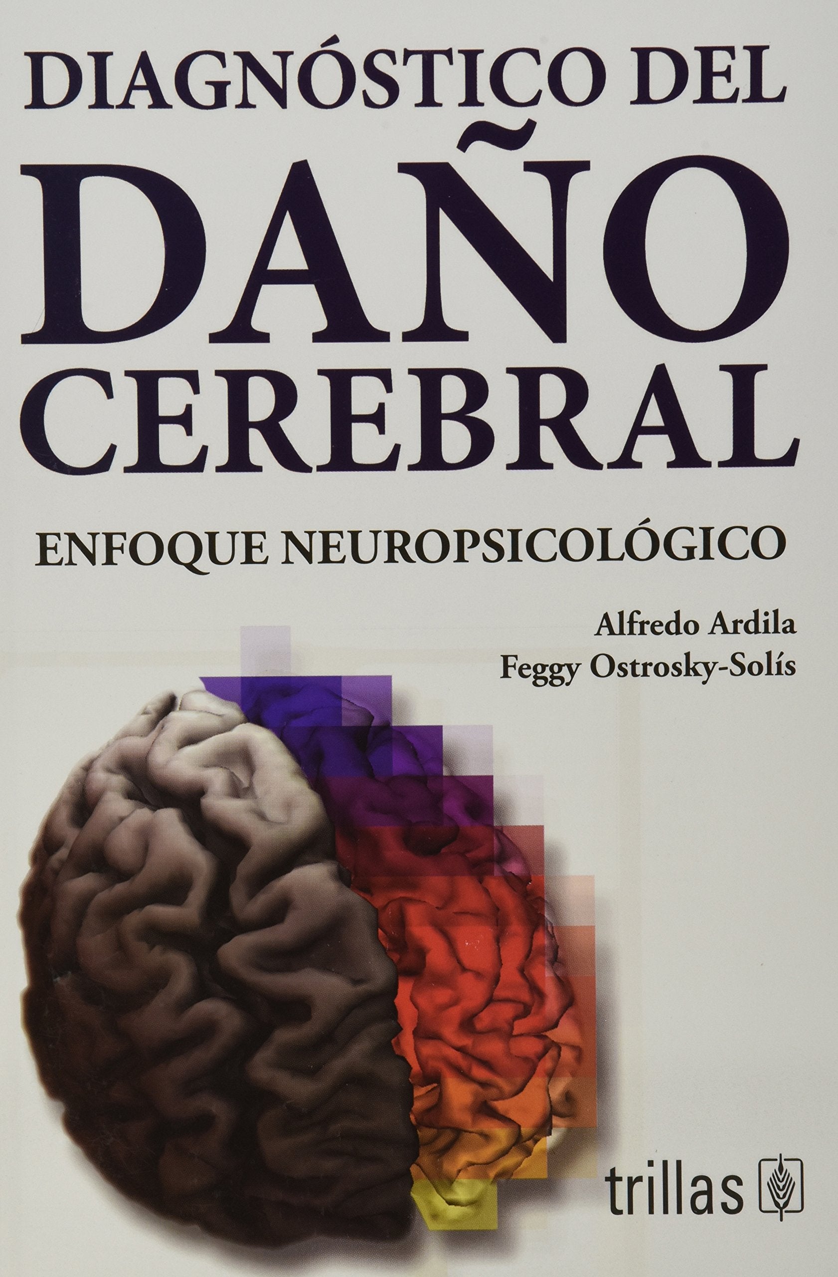 Diagnostico del dano cerebral / Diagnosis of Brain Damage: Enfoque neuropsicologico / Neuropsychological Approach book
