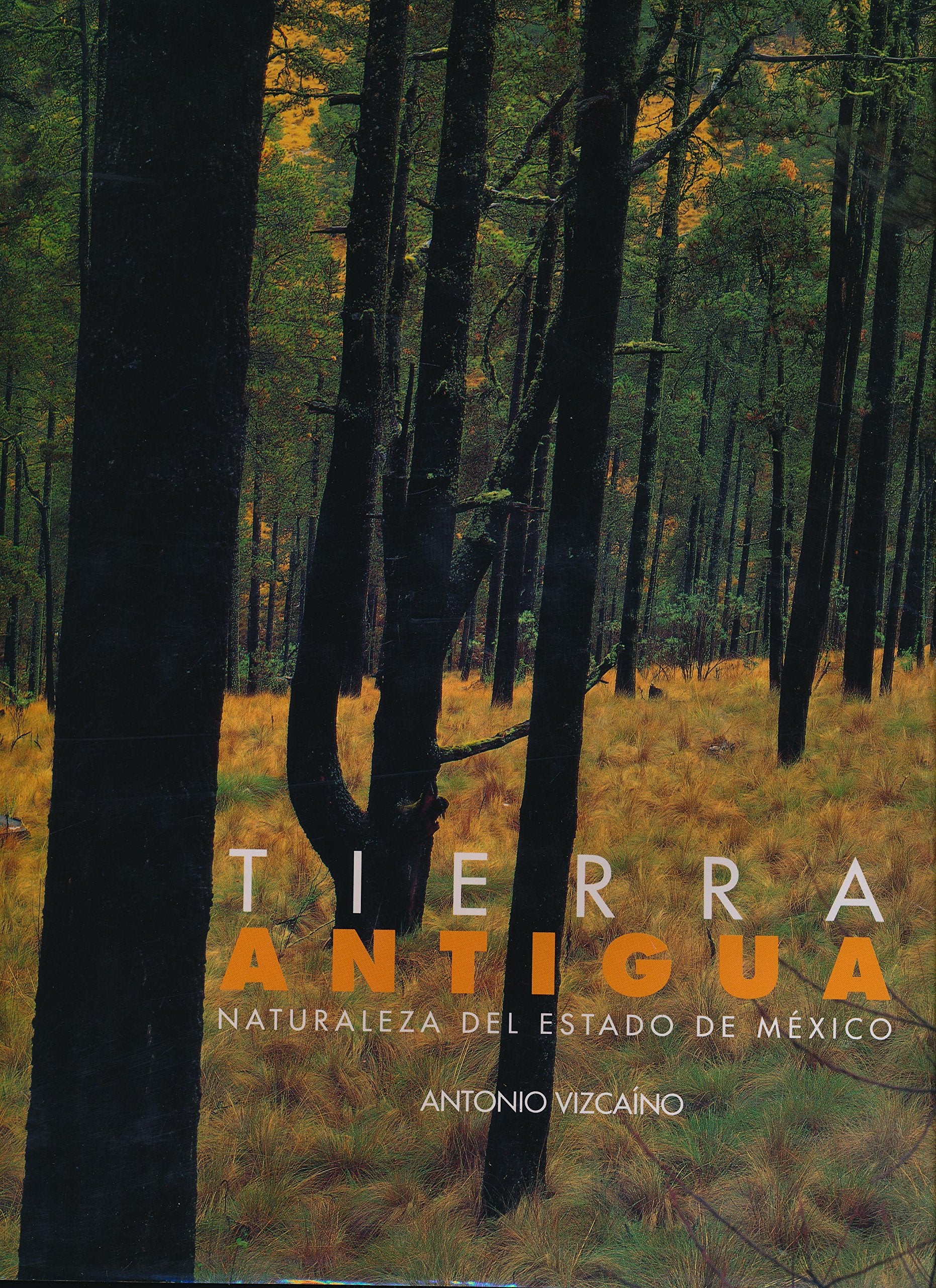 Tierra antigua: Naturaleza del estado de Mexico (Spanish Edition) Books