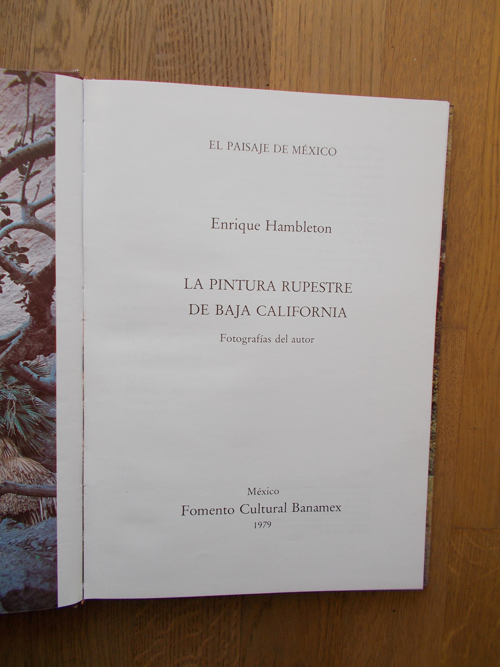 La pintura rupestre de Baja California: Fotografias del autor (Spanish Edition) Books