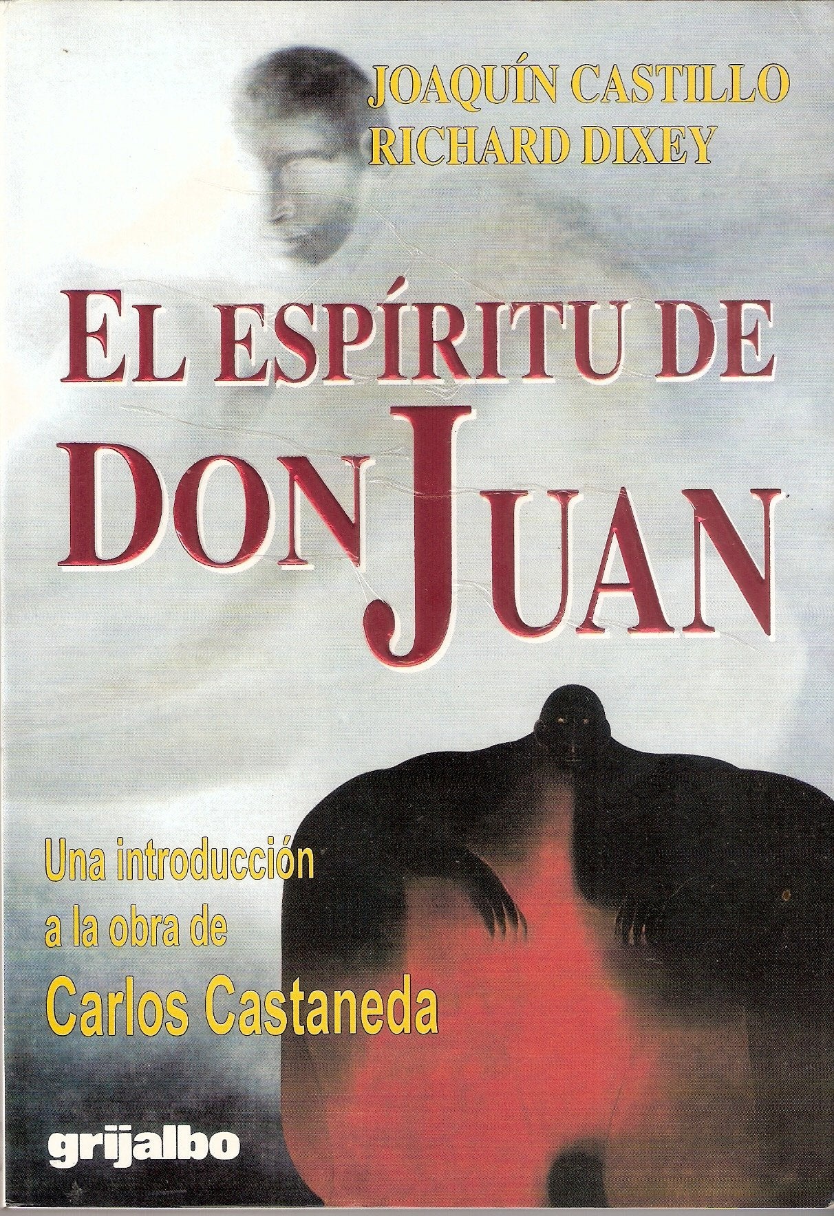 Espiritu De Don Juan/spirit Of Don Juan Contemporary literature