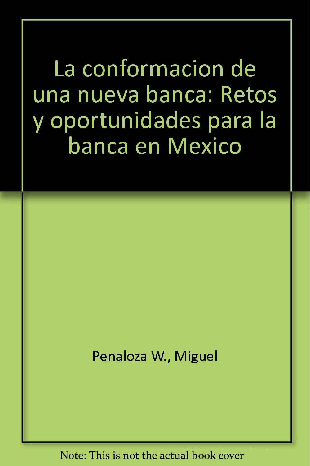 La conformacion de una nueva banca: Retos y oportunidades para la banca en Mexico (Spanish Edition) Books