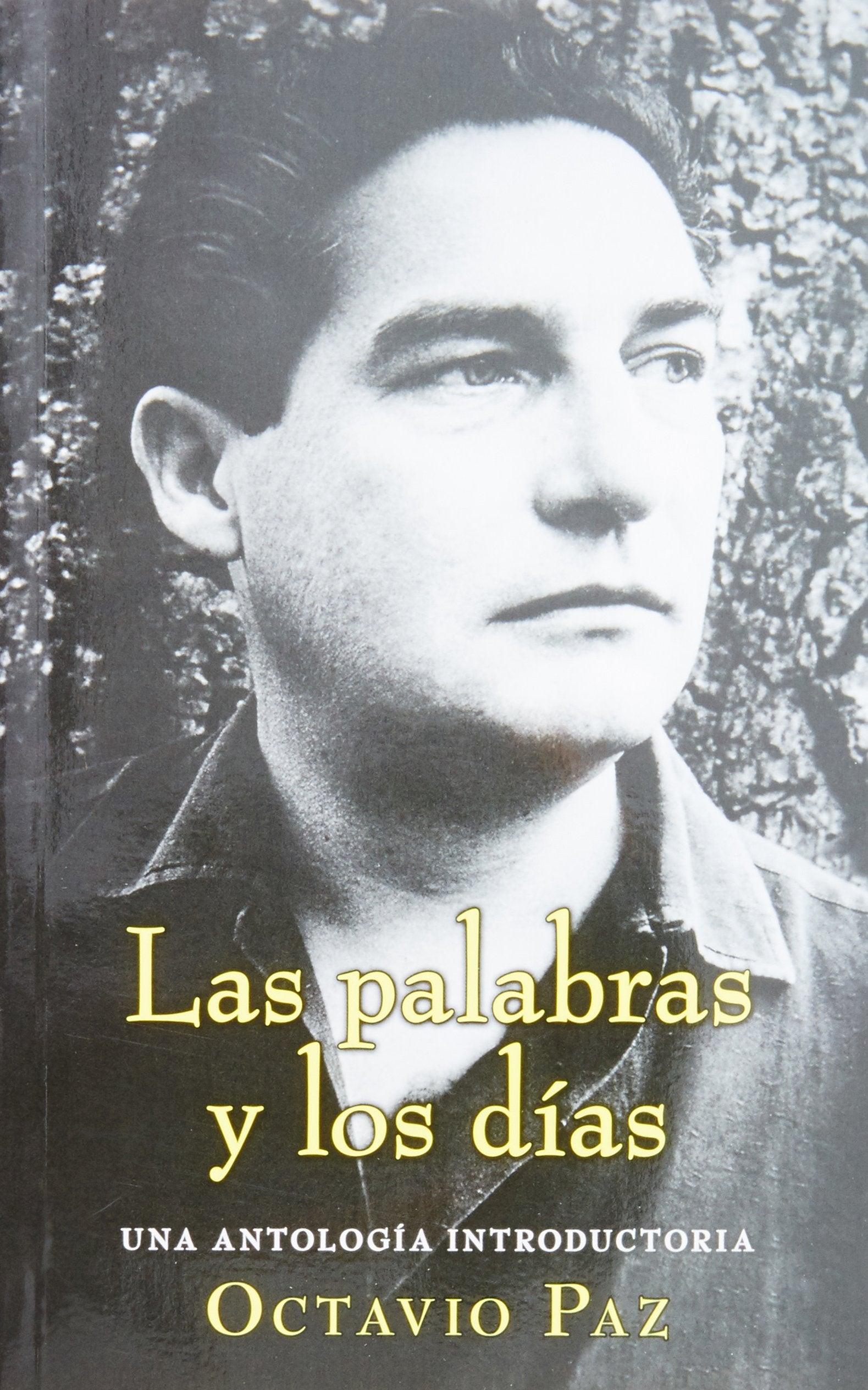 Las palabras y los días. Una antología introductoria: Una Antologia Introductoria Essays & Short Stories