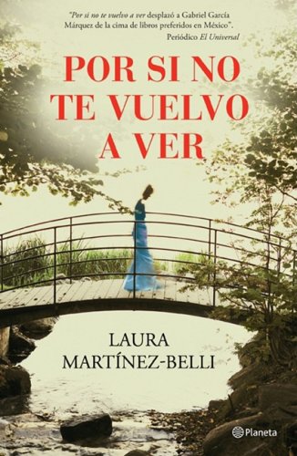 Por si no te vuelvo a ver/ If I Never See You Again Historical Fiction