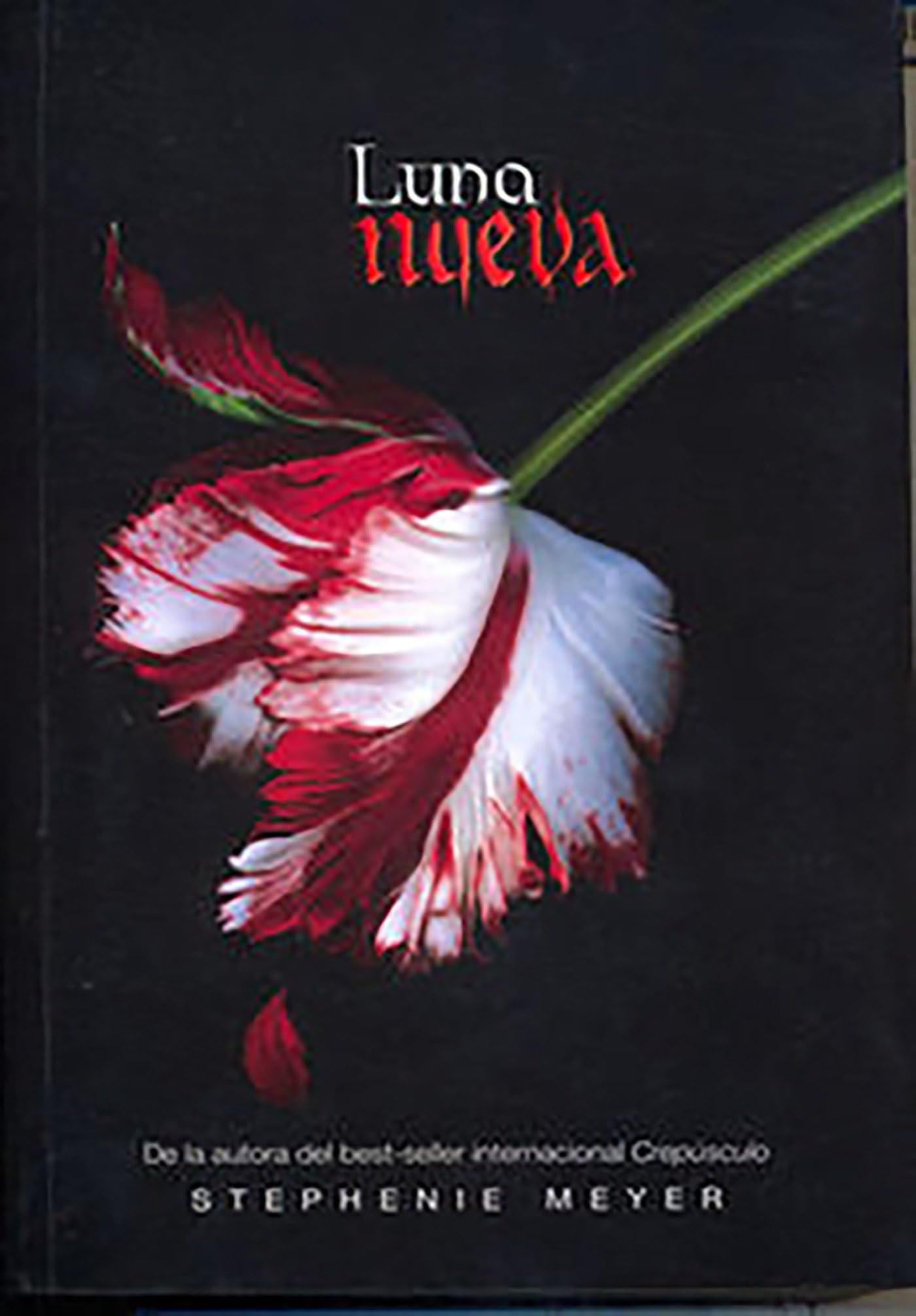 Luna nueva / New Moon (The Twilight Saga, Band 2) Horror & Creepy