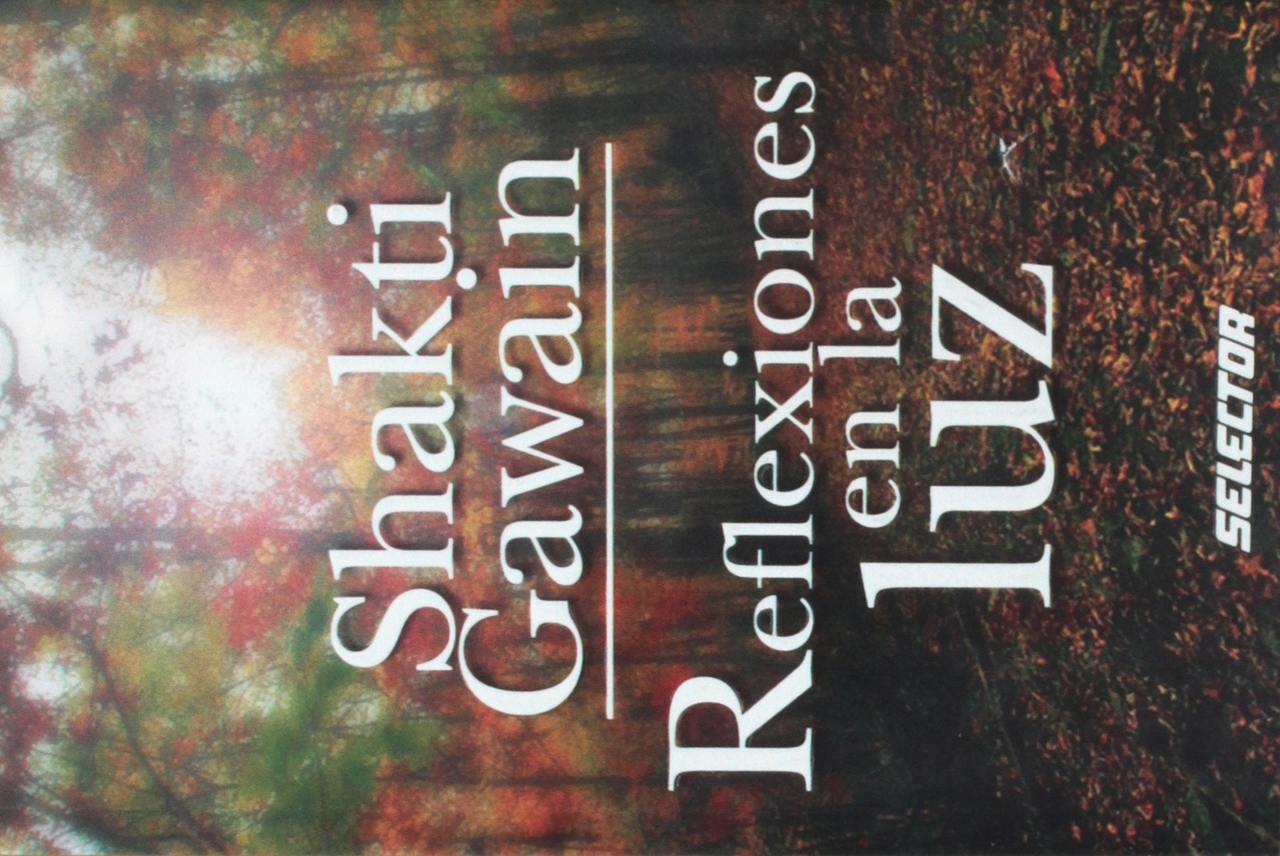 Reflexiones en la luz/ Reflections in the Light (Superacion personal/ Personal Growth) Lifestyle
