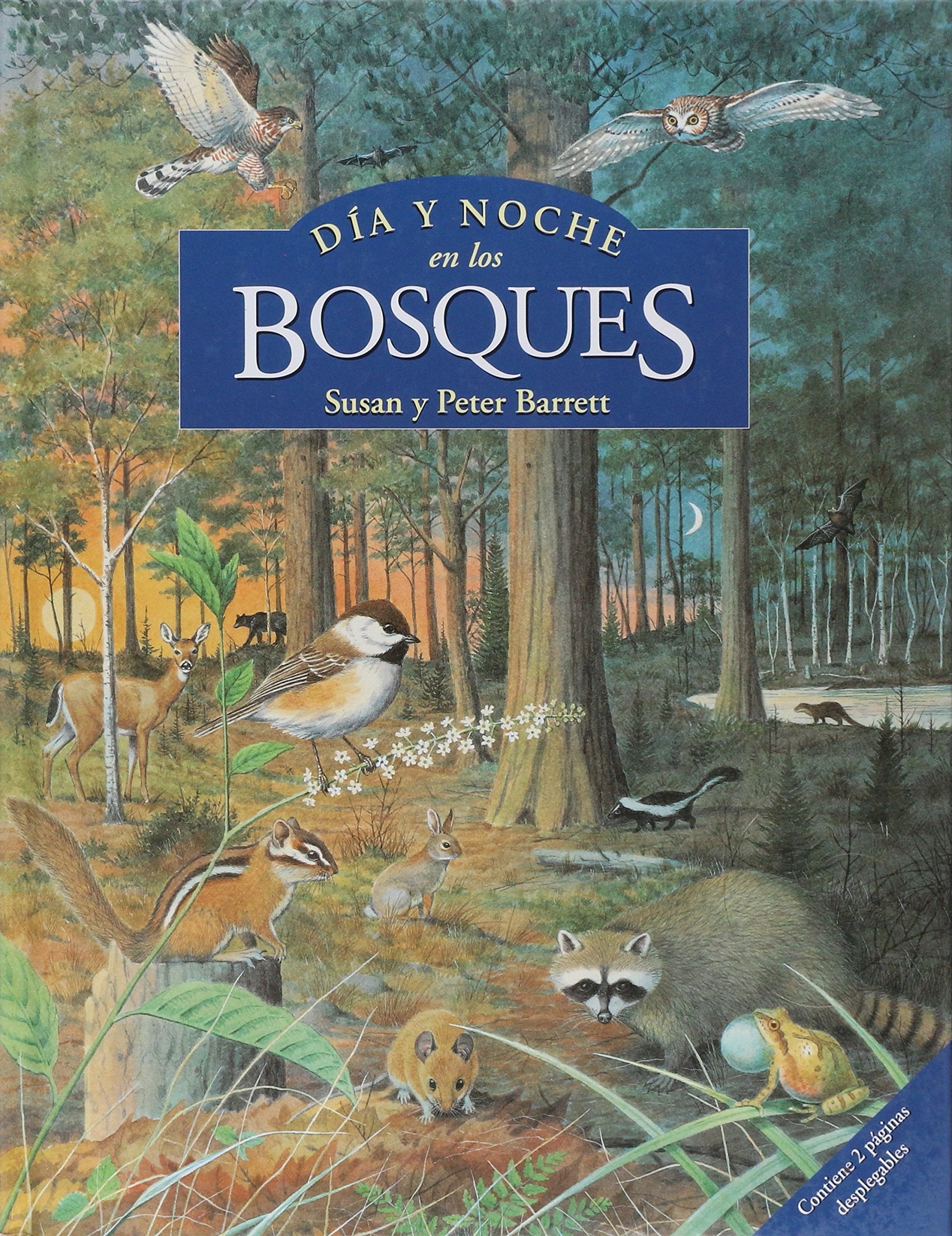 Dia Y Noche En Los Bosques/day And Night in the Forest (Sm Saber) Non-fiction
