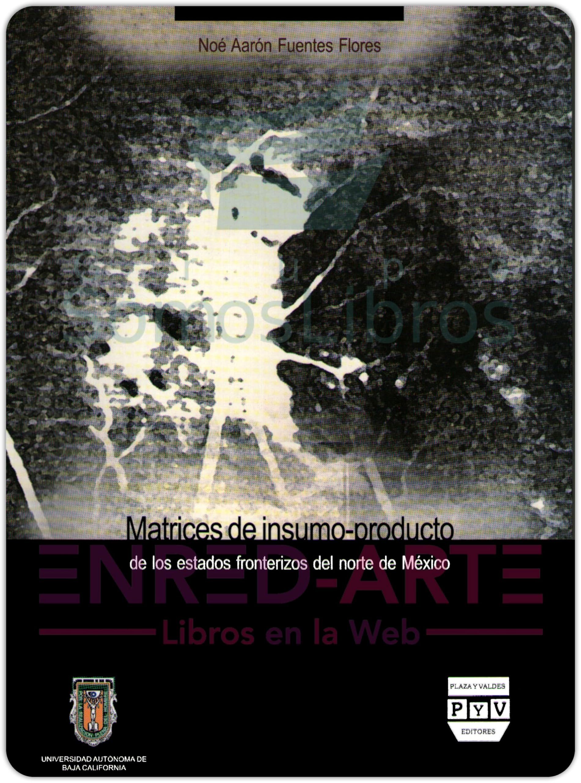 Matrices de insumo-producto de los estados fronterizos del norte de Mexico (Spanish Edition) Books
