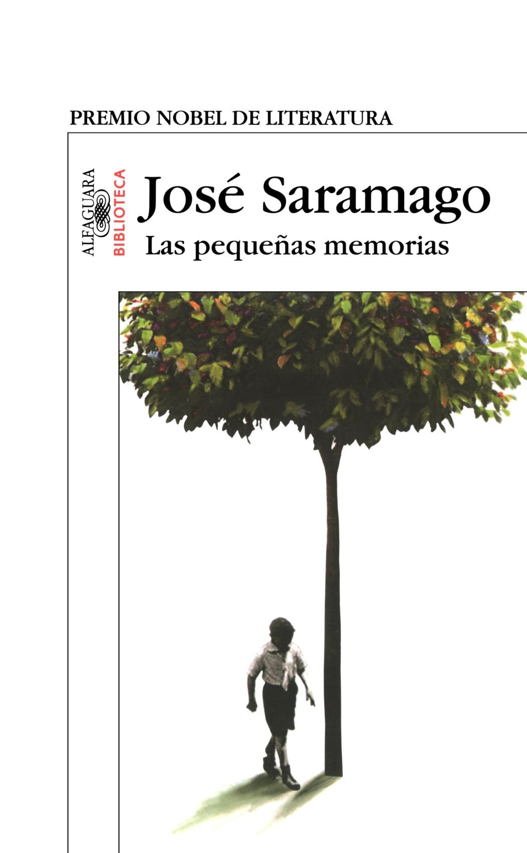 Las Pequenas Memorias/ Memories from My Youth Art & Literature