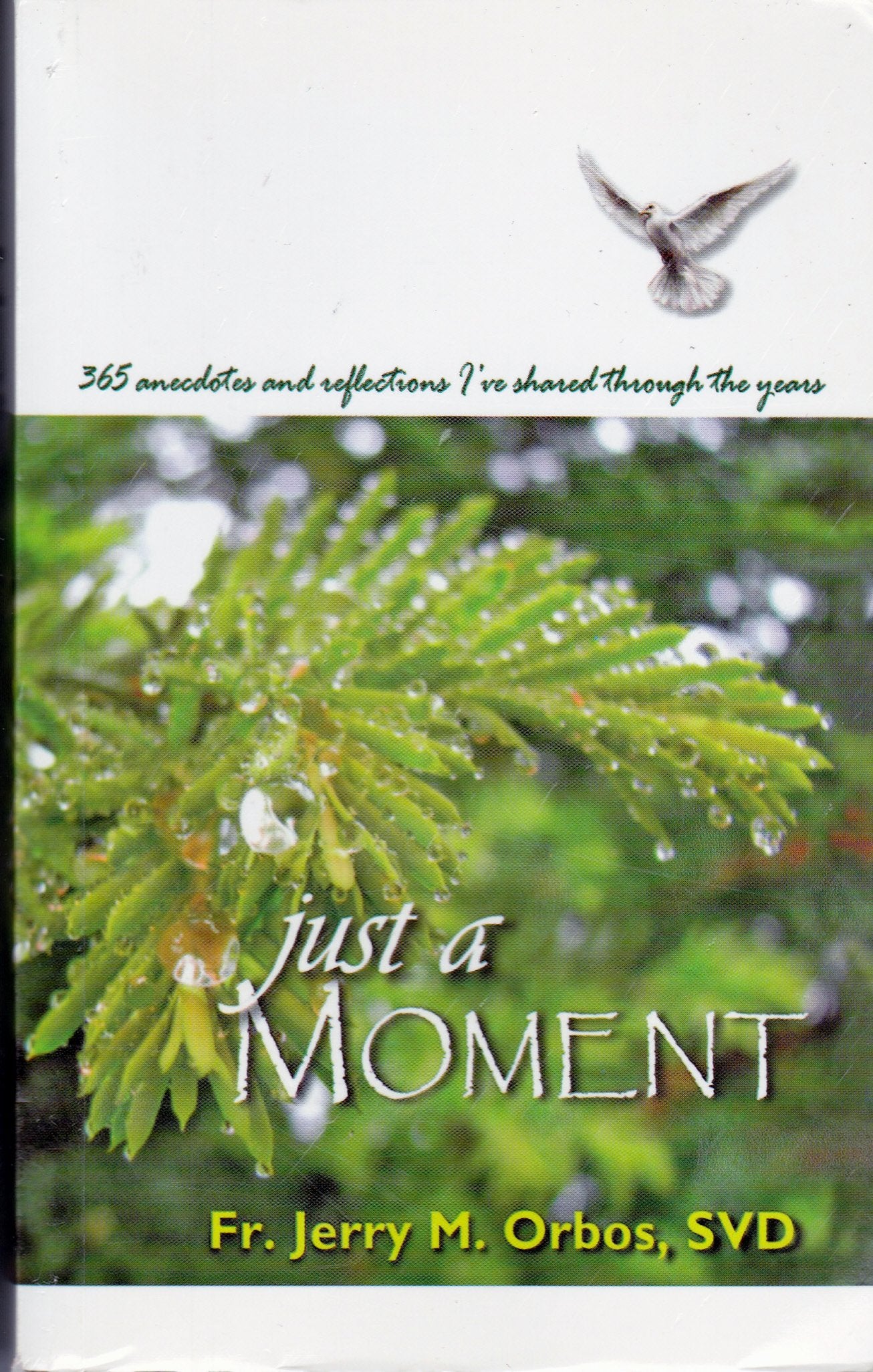 Just a Moment. 365 Anecdotes and Reflexions I've Shored Through the Years. book