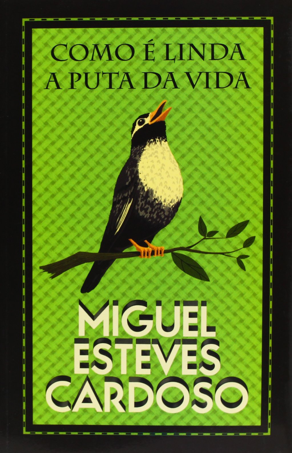 Como é Linda a Puta da Vida (portugiesisch) Books