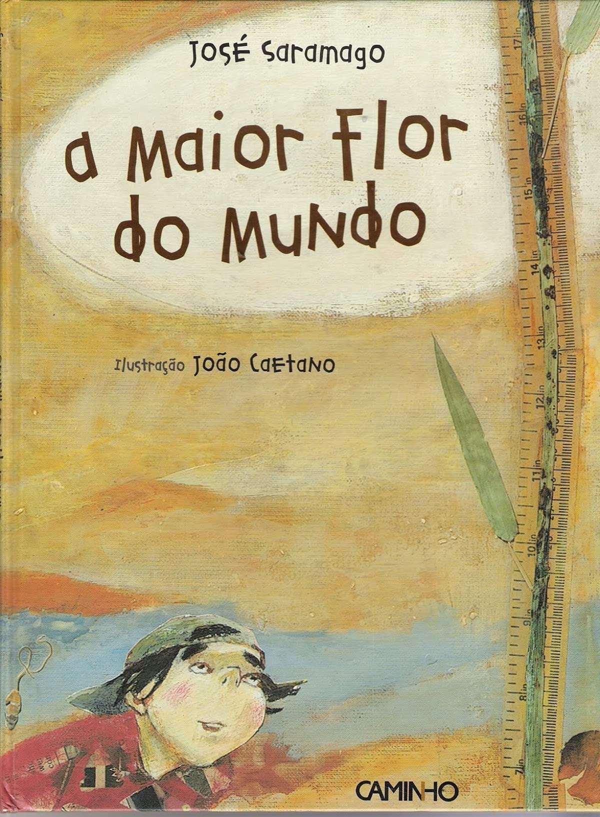 A maior flor do mundo (portugiesisch) Books