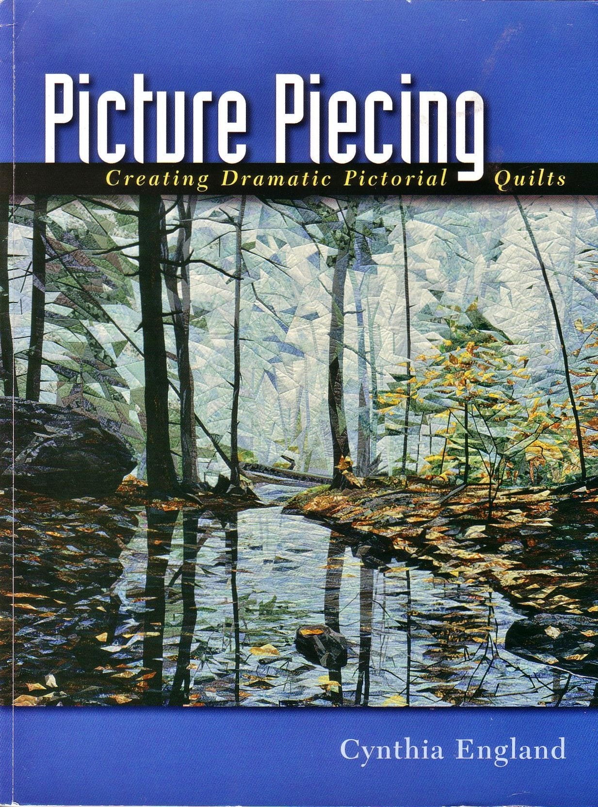 Picture Piecing: Creating Dramatic Pictorial Quilts Books