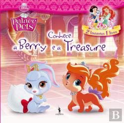 Conhece a Berry e a Treasure Palace Pets 1 (Portuguese Edition) Dom Quixote Books