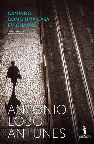 Caminho como uma casa em chamas Books