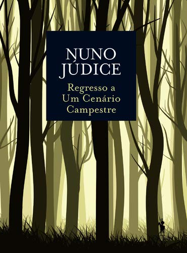 DQX Regresso A Um Cenario Campestre book