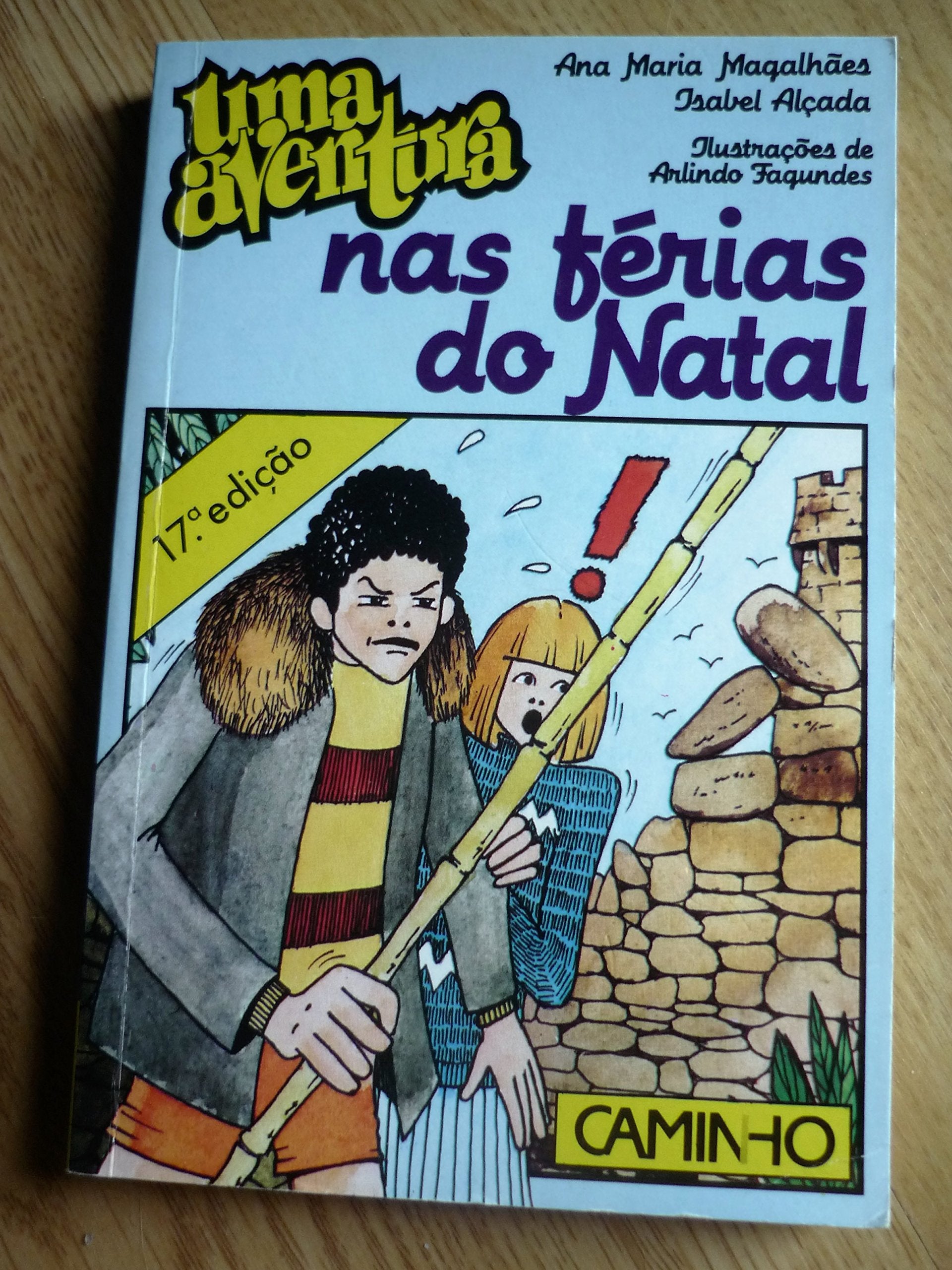 Uma Aventura Nas Ferias Do Natal book