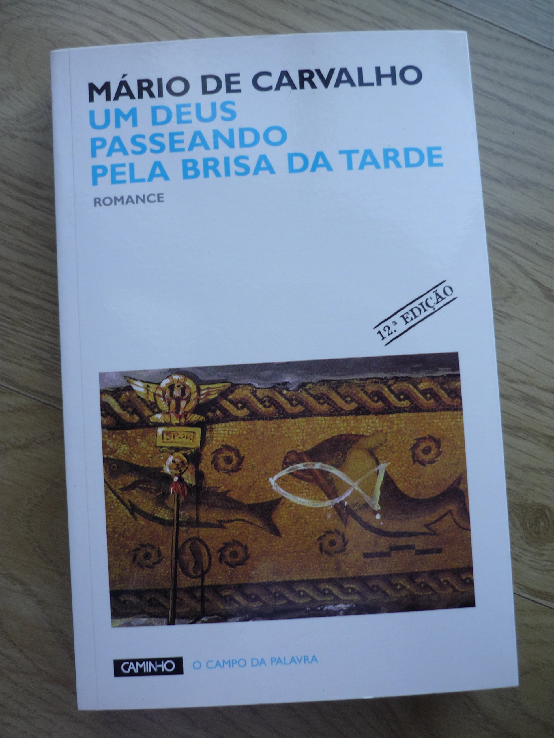 Um deus paseando pela brisa da tarde: romance book
