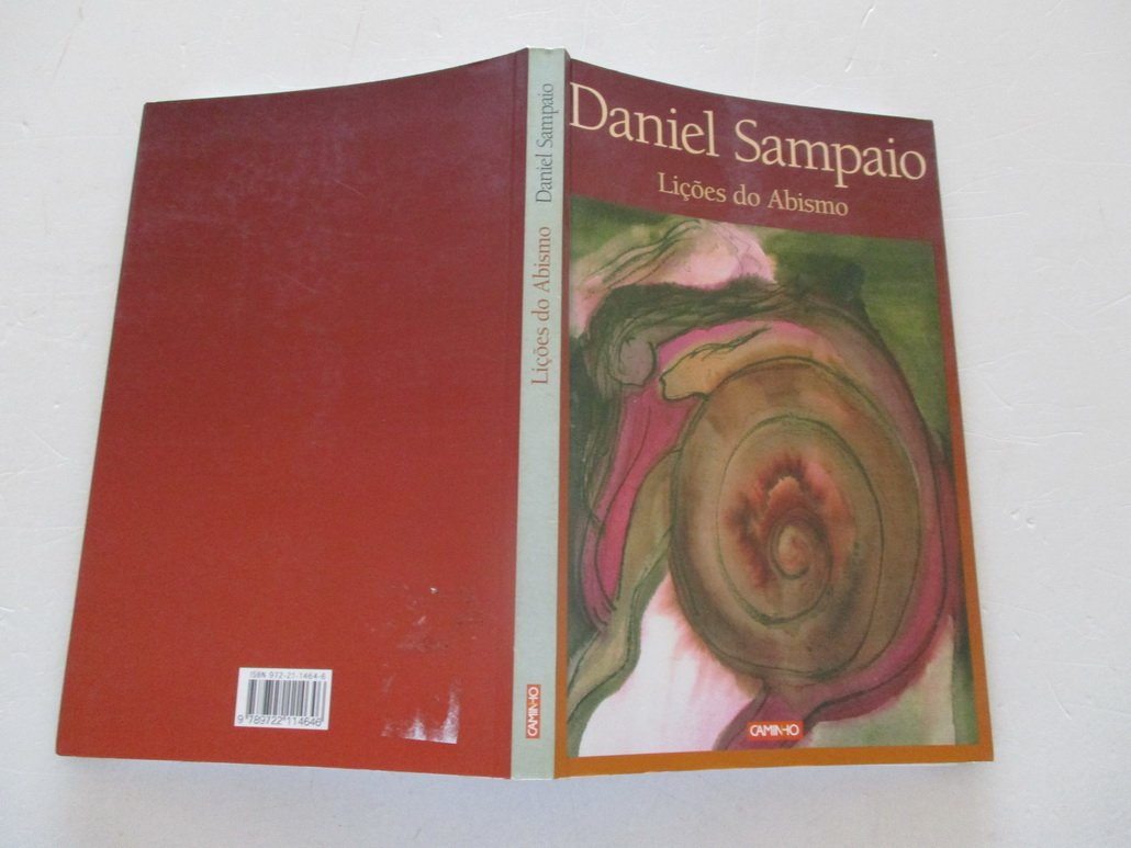 Lições do Abismo (Portuguese Edition) Daniel Sampaio Books
