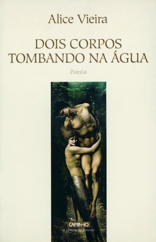 Dois corpos tombando na Água book